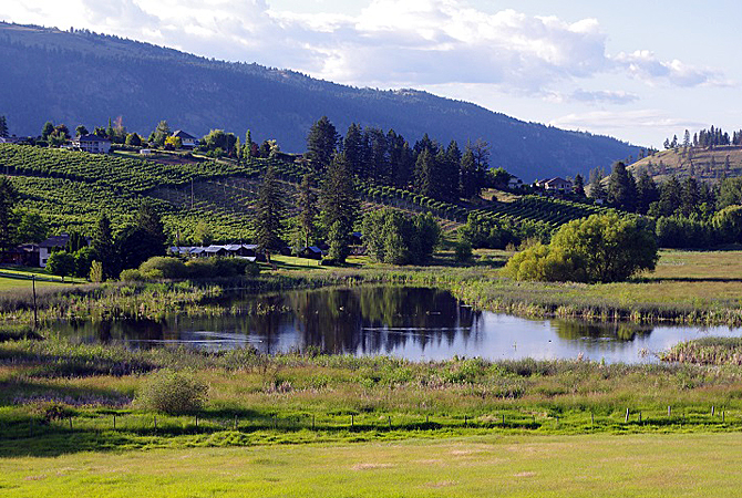 Pioneer Oyama family donates private land to ducks | iNFOnews.ca
