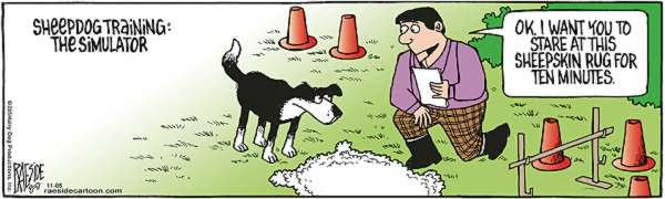 RAESIDE CARTOON | iNFOnews.ca