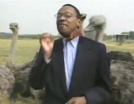 Reporters and animals bloopers | iNFOnews.ca