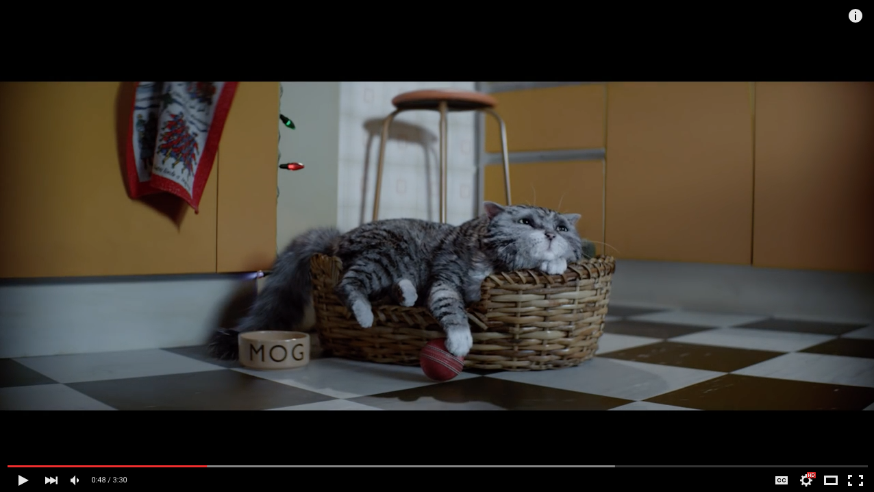 TRENDING NOW: Mog's Christmas Calamity | iNFOnews.ca