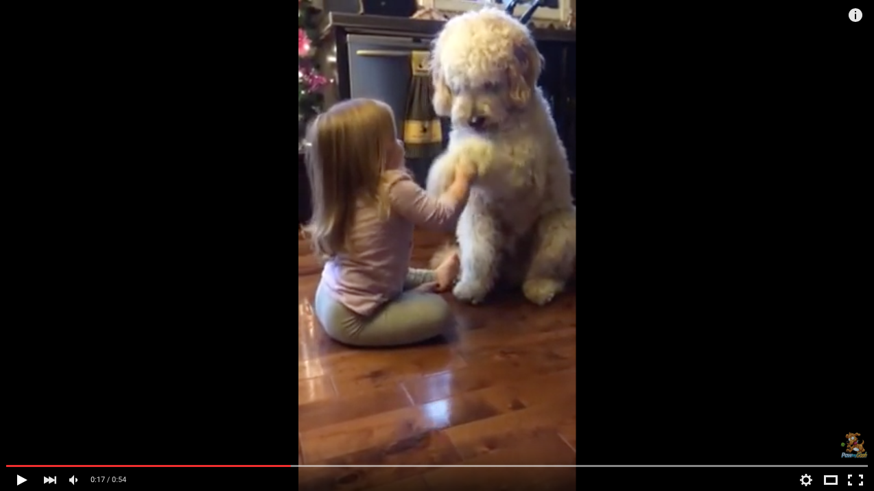 TRENDING NOW: Adorable little girl teaches her dog to shake a paw | iNFOnews.ca