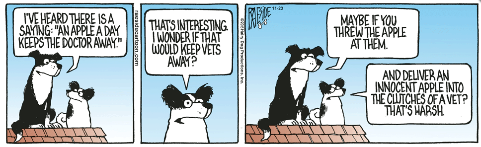 RAESIDE CARTOON | iNFOnews.ca