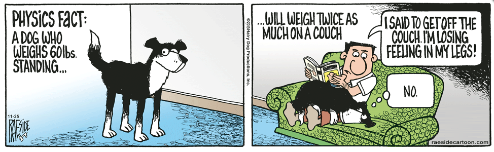 RAESIDE CARTOON | iNFOnews.ca