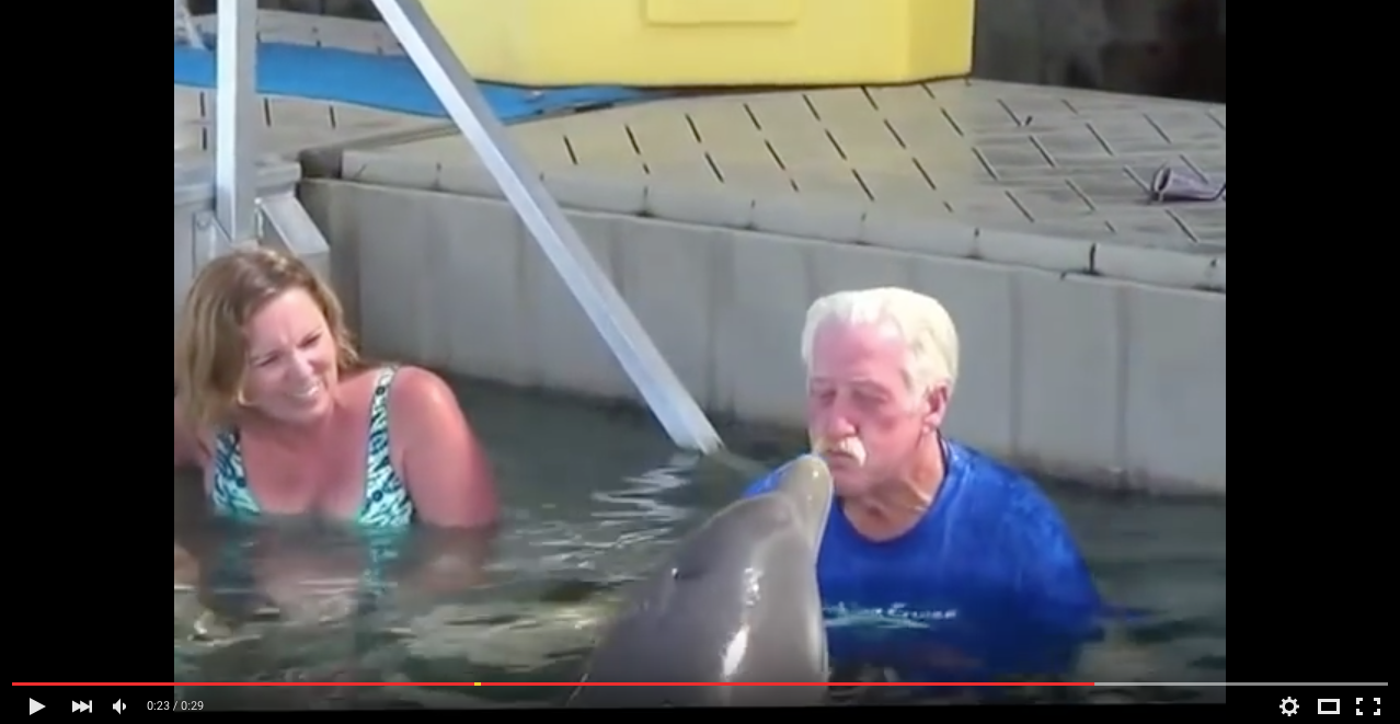 TRENDING NOW: Dolphin spit battle with grandpa | iNFOnews.ca
