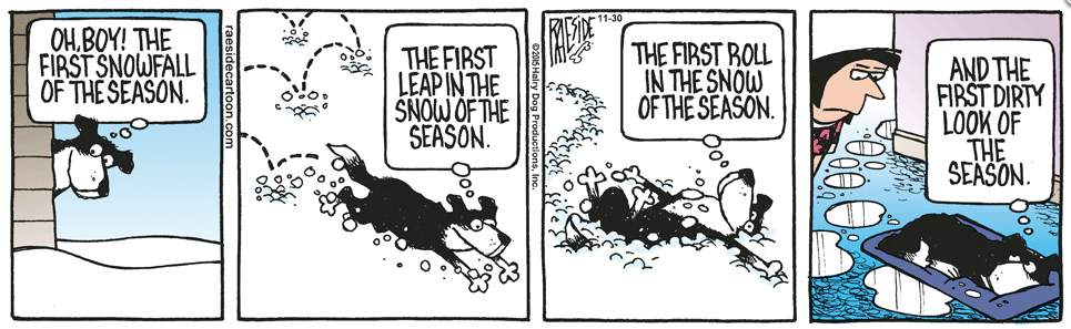 RAESIDE CARTOON | iNFOnews.ca