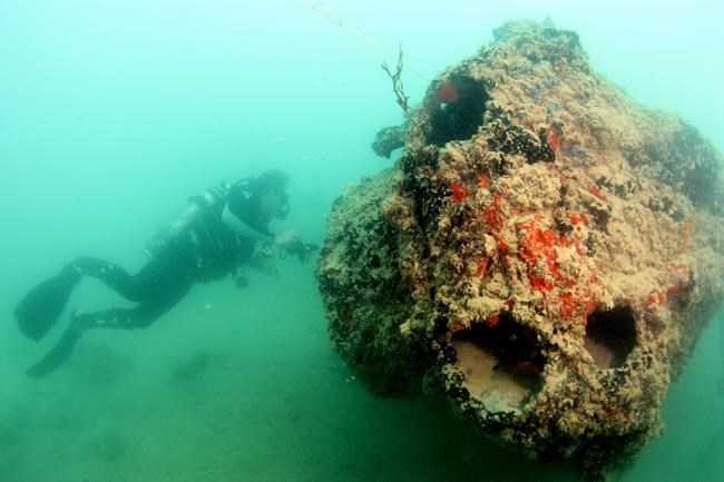 New images show large seaplane that sank 74 years ago in Japanese attack on Pearl Harbor | iNFOnews.ca