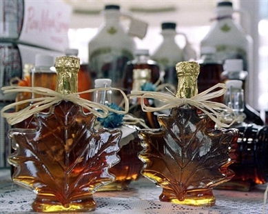 Canada's maple syrup output fell again in 2015 as El Nino raises questions about spring | iNFOnews.ca