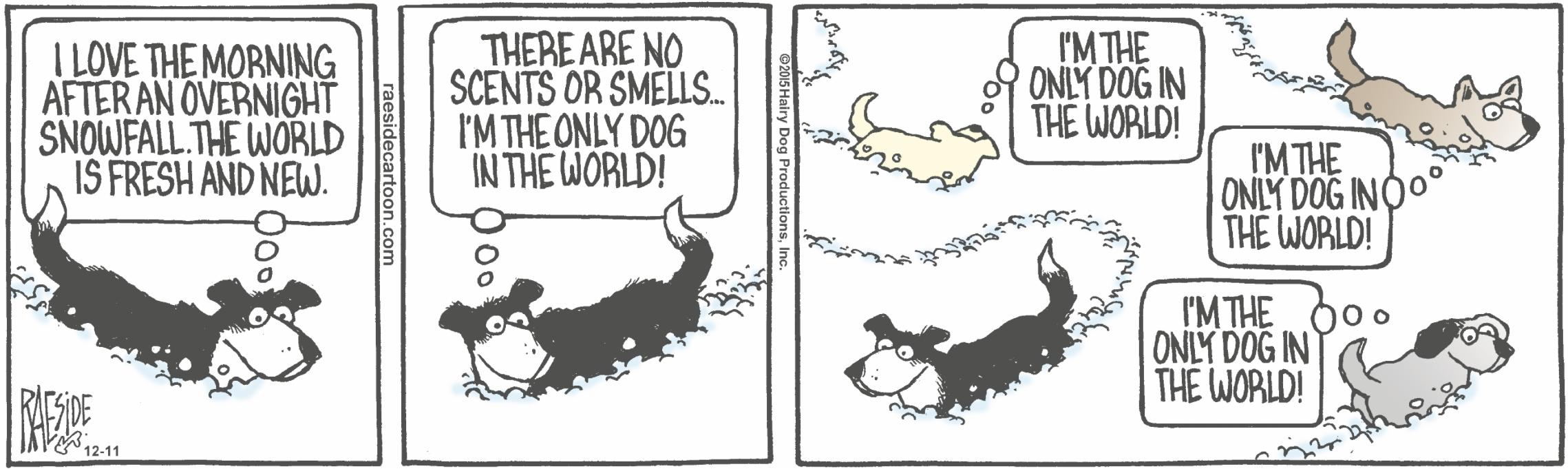 RAESIDE CARTOON | iNFOnews.ca