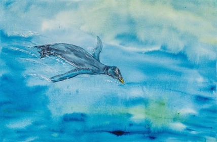 Family stumbles on fossil of new species of flightless bird on Vancouver Island beach | iNFOnews.ca Family stumbles on fossil of new species of flightless bird on Vancouver Island beach | iNFOnews.ca