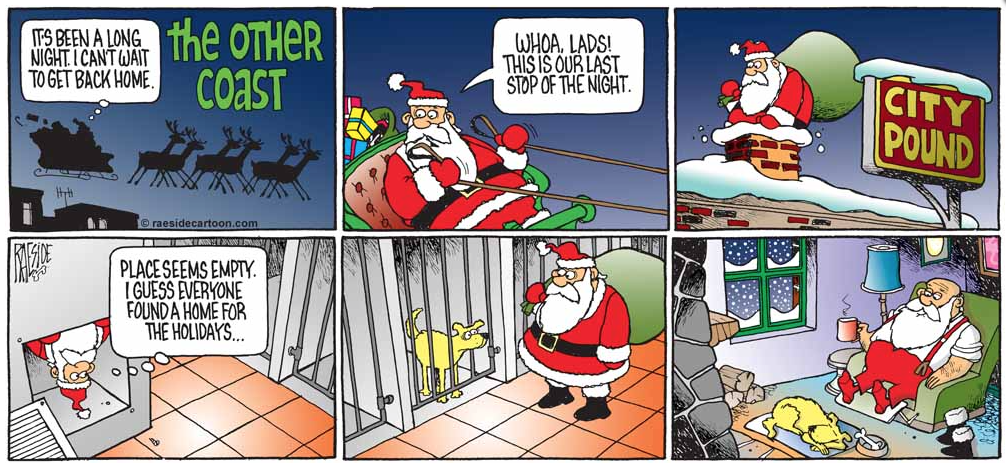 RAESIDE CARTOON | iNFOnews.ca