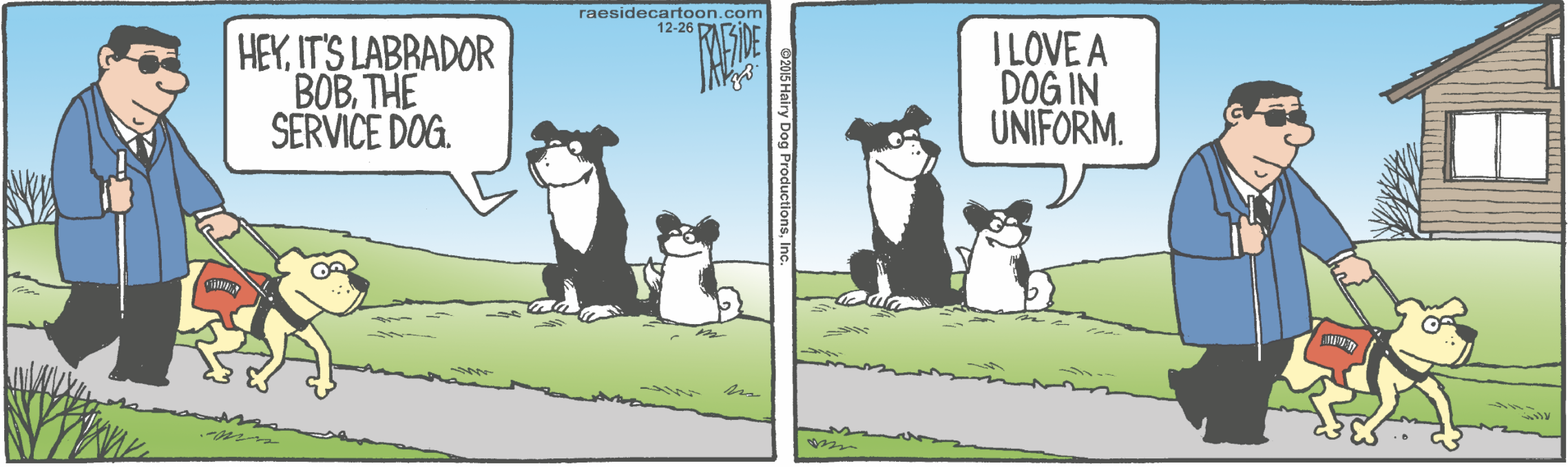 RAESIDE CARTOON | iNFOnews.ca