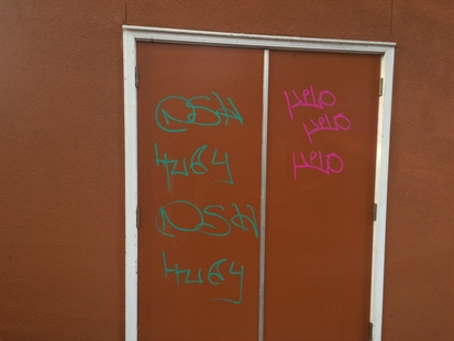 Vernon police looking for prolific tagger | iNFOnews.ca
