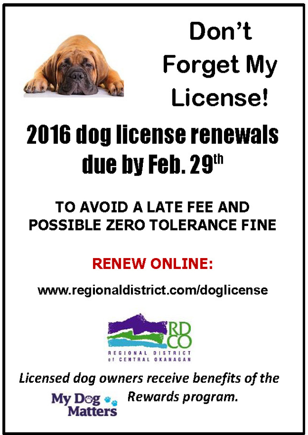 ‘Don’t Forget My License’ – Central Okanagan 2016 dog license renewals underway | iNFOnews.ca ‘Don’t Forget My License’ – Central Okanagan 2016 dog license renewals underway | iNFOnews.ca