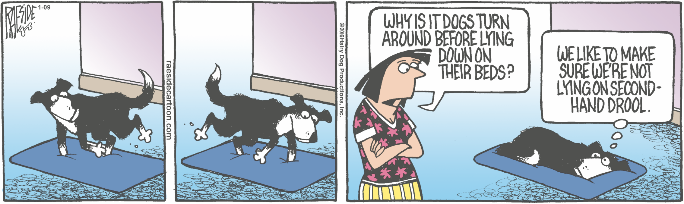 RAESIDE CARTOON | iNFOnews.ca