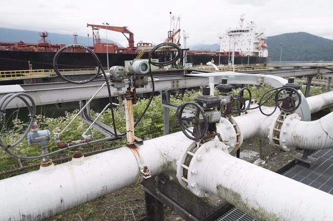 Trans Mountain pipeline project doesn't meet B.C.'s five conditions: minister | iNFOnews.ca