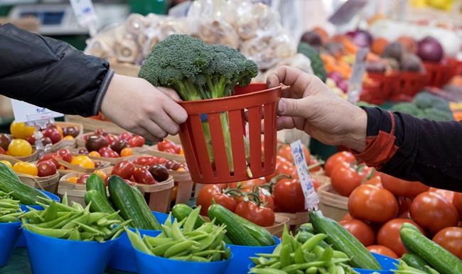 As loonie slides, costs of fresh fruits and vegetables expected to rise | iNFOnews.ca As loonie slides, costs of fresh fruits and vegetables expected to rise | iNFOnews.ca
