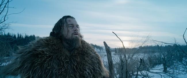 'Revenant' leads Oscar noms with 12, only white actors again | iNFOnews.ca