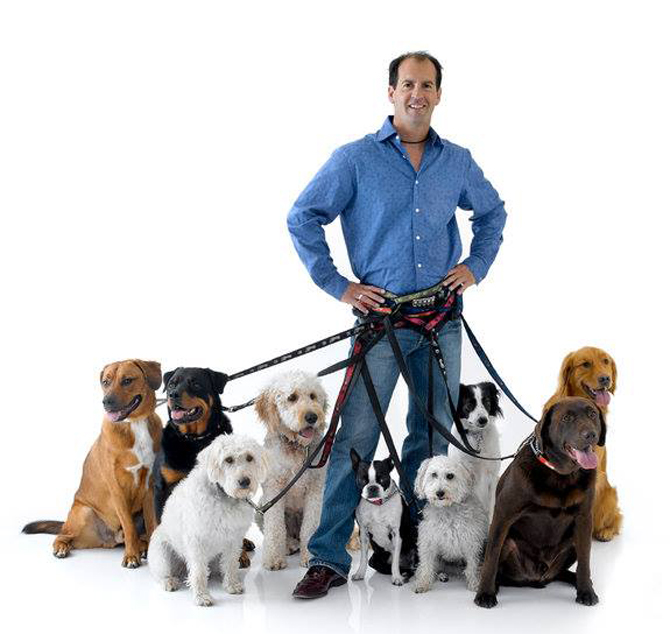 BRAD PATTISON: Why spay and neuter programs haven't reduced unwanted pet populations | iNFOnews.ca