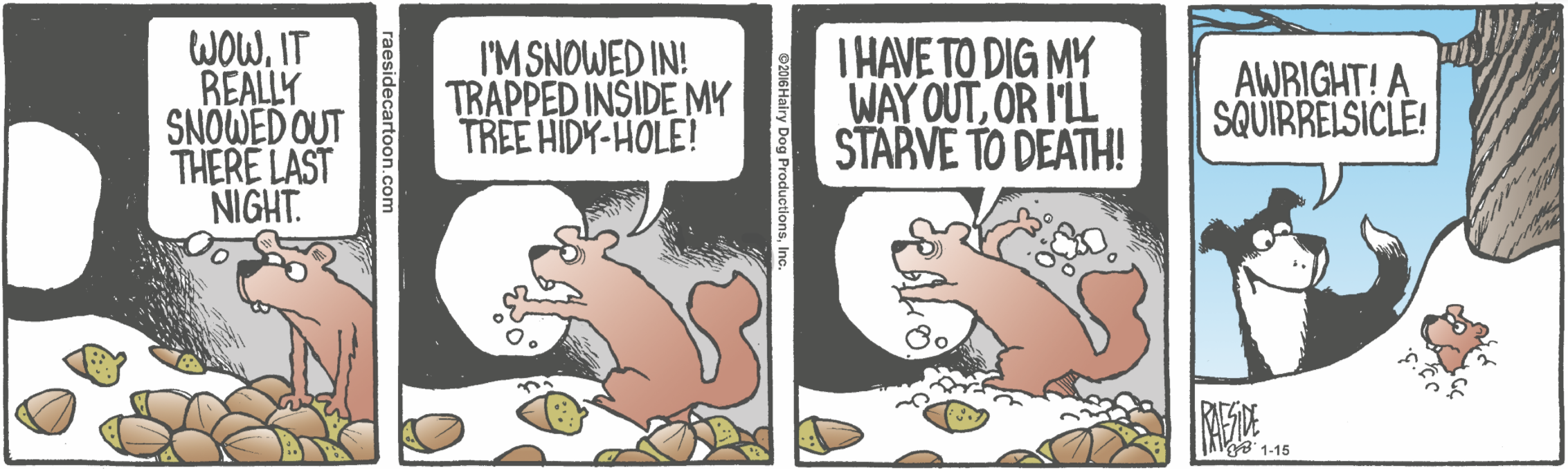 RAESIDE CARTOON | iNFOnews.ca