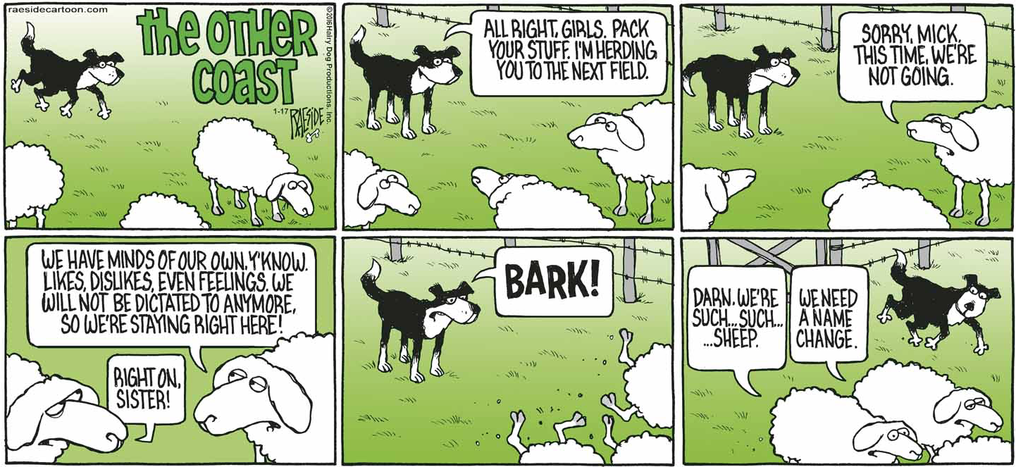 RAESIDE CARTOON | iNFOnews.ca