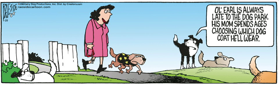 RAESIDE CARTOON | iNFOnews.ca