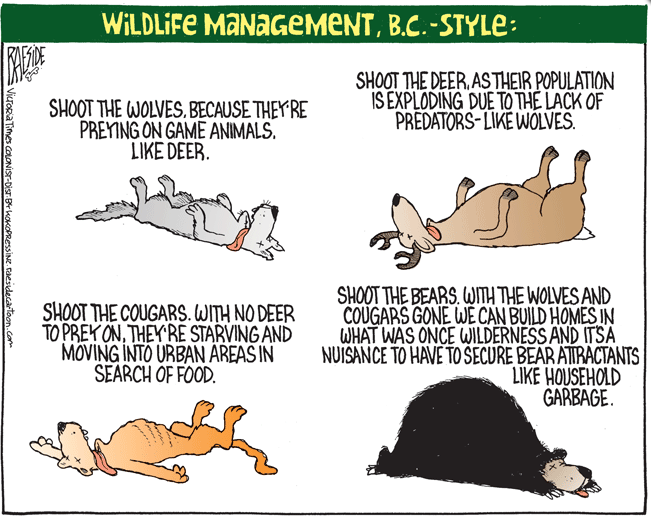 RAESIDE CARTOON | iNFOnews.ca