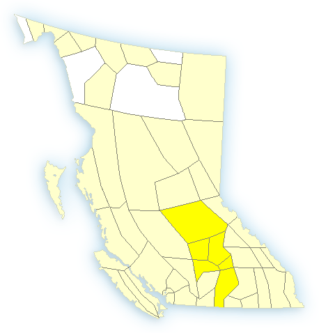UPDATE: Severe weather watch ended North Okanagan to Thompson regions | iNFOnews.ca UPDATE: Severe weather watch ended North Okanagan to Thompson regions | iNFOnews.ca