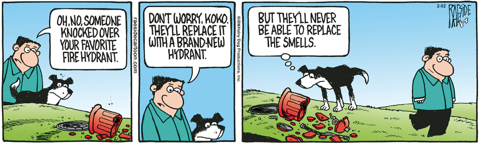 RAESIDE CARTOON | iNFOnews.ca