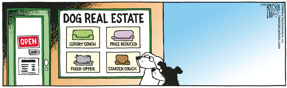 RAESIDE CARTOON | iNFOnews.ca