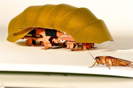 VIDEO: An icky new hero: Roach-like robots may help in disasters | iNFOnews.ca VIDEO: An icky new hero: Roach-like robots may help in disasters | iNFOnews.ca