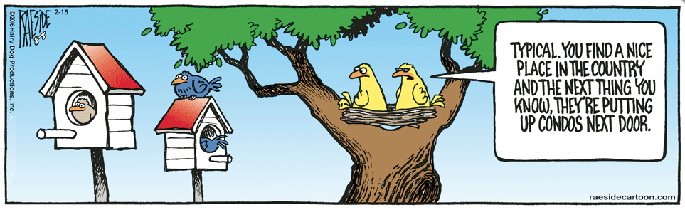 RAESIDE CARTOON | iNFOnews.ca RAESIDE CARTOON | iNFOnews.ca