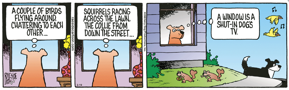 RAESIDE CARTOON | iNFOnews.ca