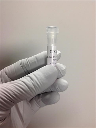 Canadian scientists testing Zika to see if virus can infect native mosquitoes | iNFOnews.ca