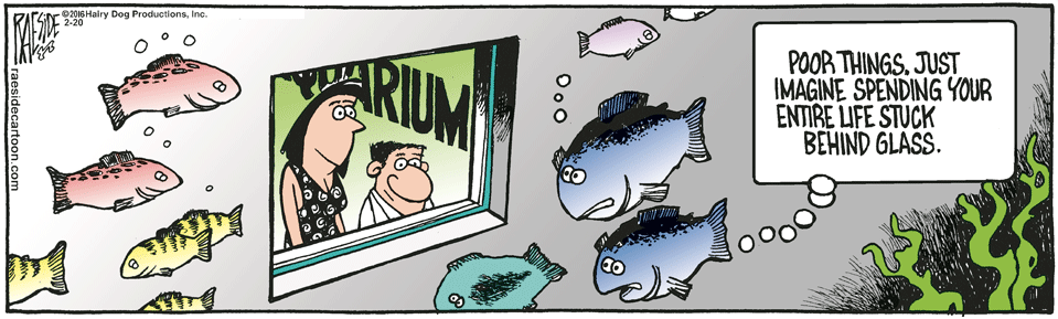 RAESIDE CARTOON | iNFOnews.ca