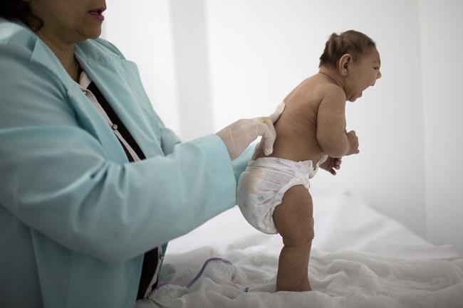 Can scientists prove Zika virus is causing birth defects? | iNFOnews.ca