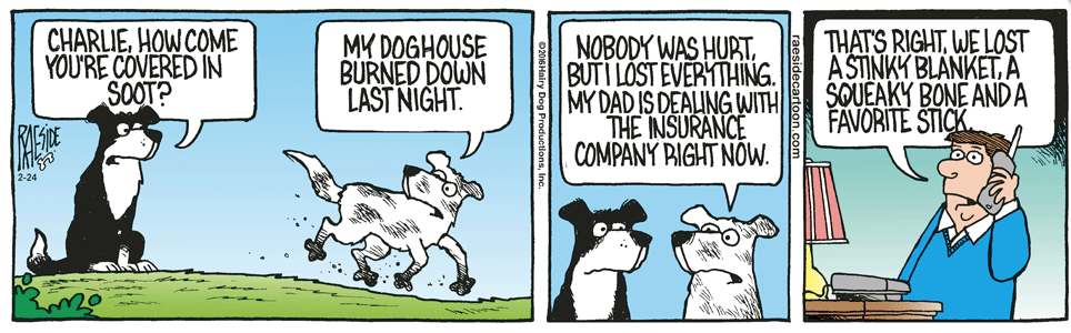 RAESIDE CARTOON | iNFOnews.ca