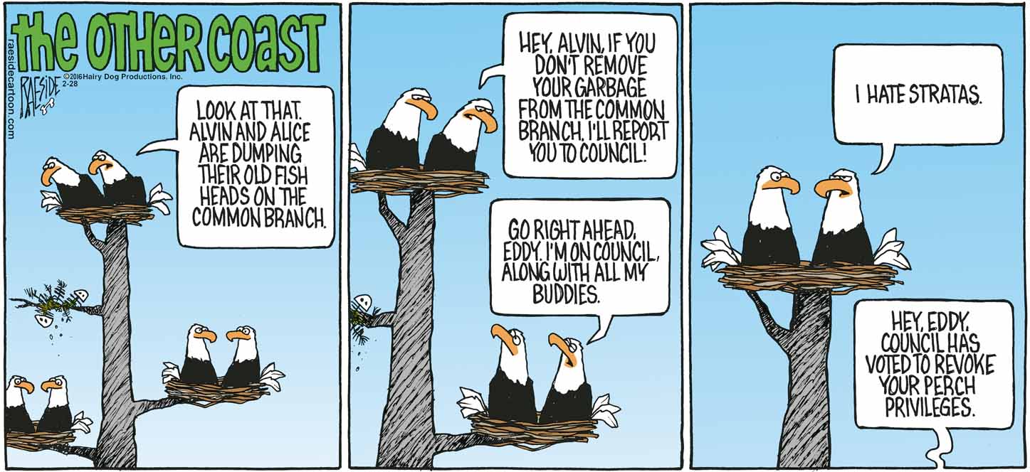 RAESIDE CARTOON | iNFOnews.ca