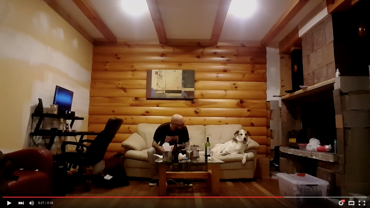 TRENDING NOW: Dog likes watching owner eat, until owner catches him looking | iNFOnews.ca