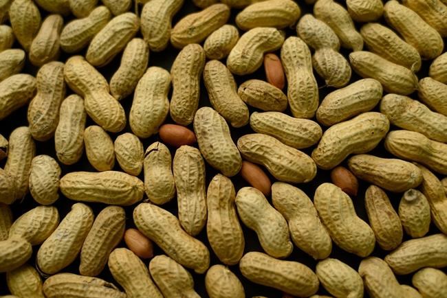 Peanuts for babies? Studies back allergy-preventing strategy | iNFOnews.ca Peanuts for babies? Studies back allergy-preventing strategy | iNFOnews.ca