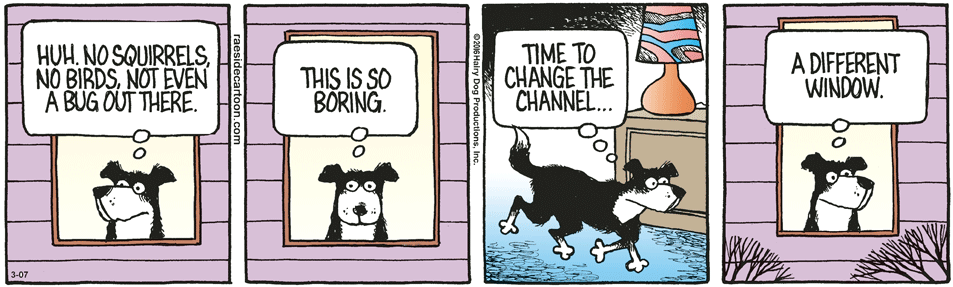 RAESIDE CARTOON | iNFOnews.ca