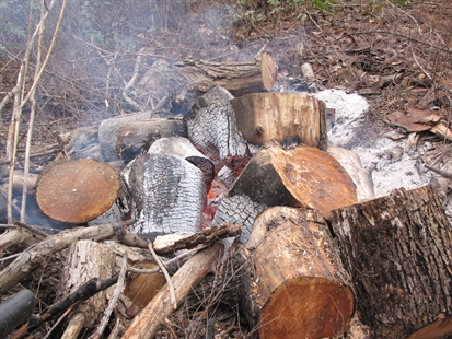 Fire hazard debris burning today in Central Okanagan | iNFOnews.ca