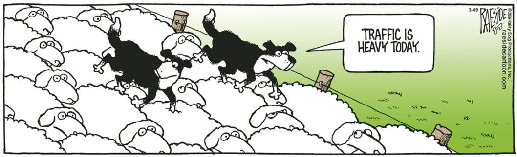 RAESIDE CARTOON | iNFOnews.ca