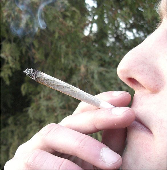 Medicinal marijuana hearing 'a joke:' activist | iNFOnews.ca Medicinal marijuana hearing 'a joke:' activist | iNFOnews.ca