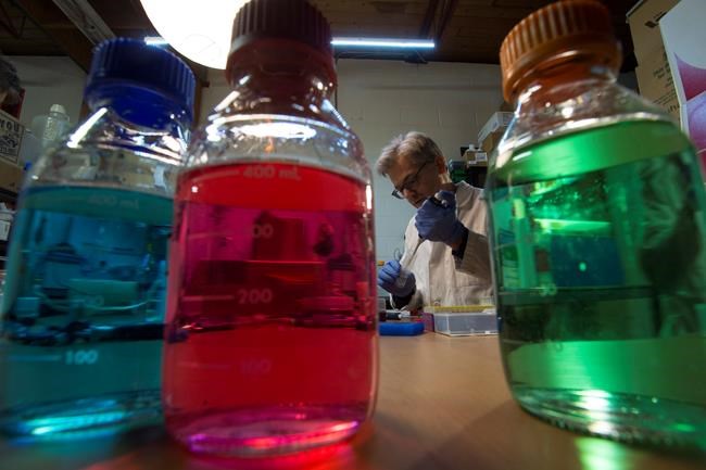 Federal government galvanizes citizen science with do-it-yourself biology summit | iNFOnews.ca