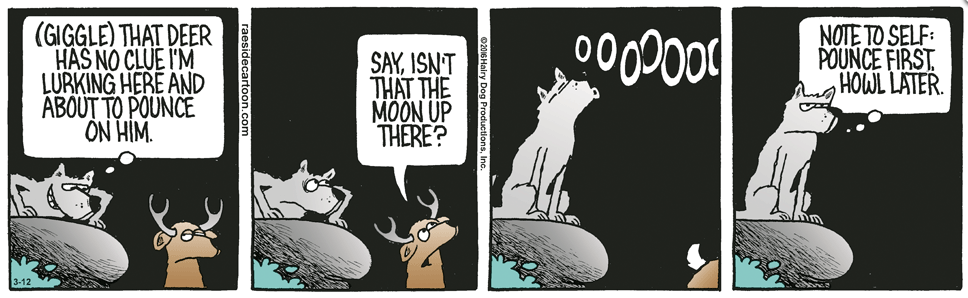 RAESIDE CARTOON | iNFOnews.ca