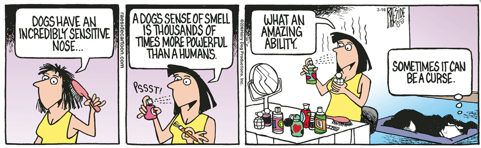 RAESIDE CARTOON | iNFOnews.ca RAESIDE CARTOON | iNFOnews.ca