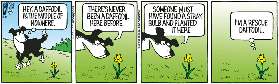 RAESIDE CARTOON | iNFOnews.ca