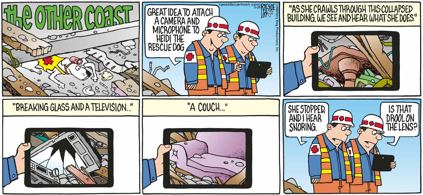 RAESIDE CARTOON | iNFOnews.ca