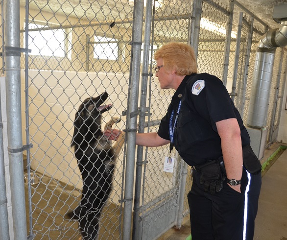 Dog owners deserve treats for good behaviour: RDCO | iNFOnews.ca