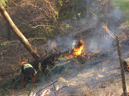 Burning continues in West Kelowna today, March 30 | iNFOnews.ca